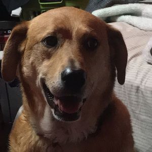 Meet your Posher, Kyle